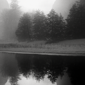 JEFFREY CONLEY : Méditation sur la nature