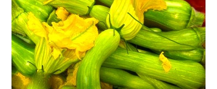 Recette originale de Giordan de la Peppa #3 : LES BEIGNETS DE FLEURS DE COURGETTES DE NICE