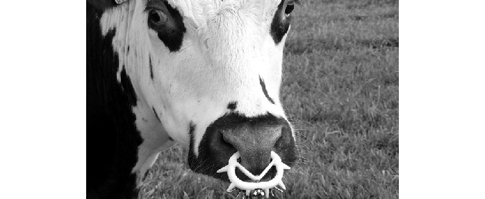 Images fertiles et peuples nourriciers : Regards sur l'agriculture 