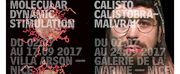 « Calisto Calistobramalvrak » : Expositions autour de la promotion 2017 de la Villa Arson 