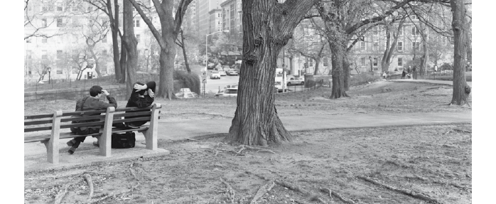 Mitch Epstein "New York arbor" au Musée André Villers 