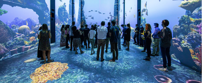  Immersion, la nouvelle exposition interactive du Musée océanographique