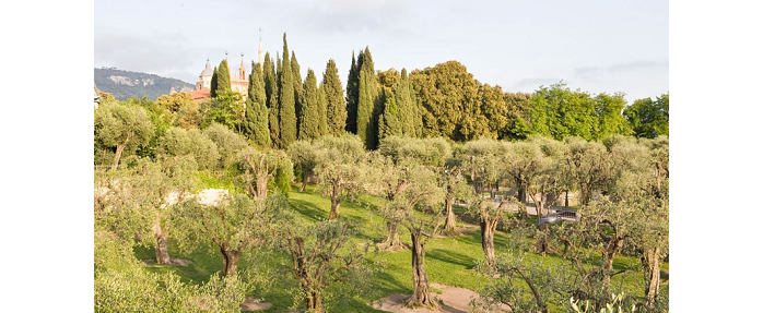 Parc des arènes de Cimiez