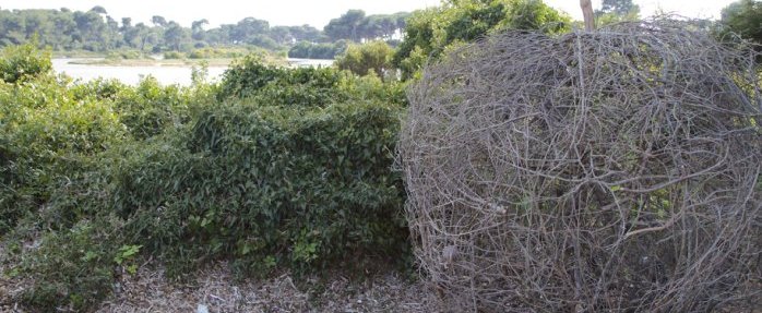 "LAND ART" sur l'Île Sainte Marguerite