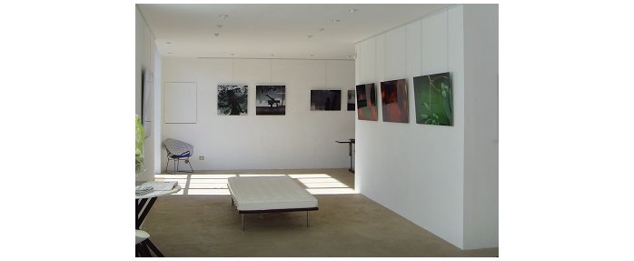 Galerie d'Art Pascal Lainé - Art Contemporain