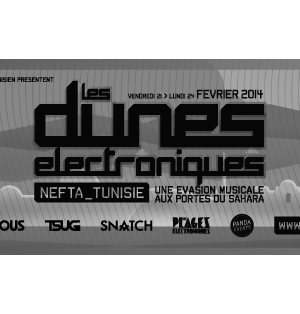 Les Dunes Electroniques