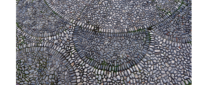 #1 Promenade(S) des Anglais : Du rivage à la Promenade. Une histoire naturelle - GALERIE DES PONCHETTES