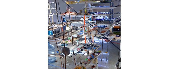 Sarah Sze