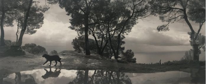 Photo : le monde selon Sammallahti