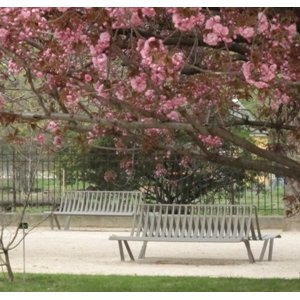 PARIS : Offrir un banc au Jardin des Plantes 