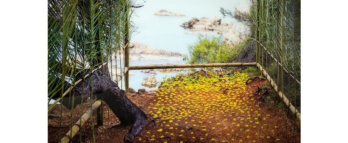 Sur l'eau, Nils Udo à découvrir au Musée de la Mer, Île Sainte Marguerite