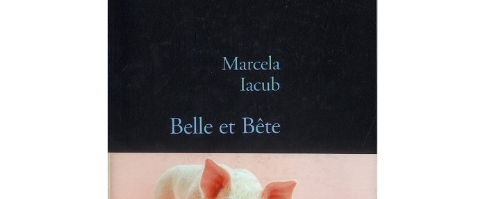 Tout est bon dans le cochon !