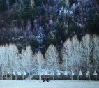 Les tribulations photographiques de Jacques Borgetto au Tibet