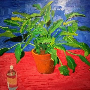 Hockney dans le miroir de Matisse