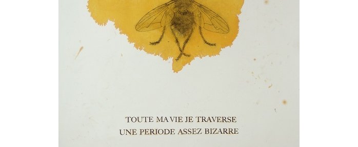 Nice : "Les Primitifs d'en face" à la Villa Caméline